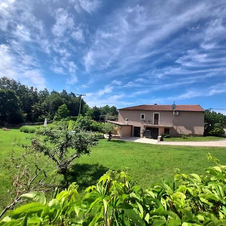 Villa Krizanci Žminj Kültér fotó