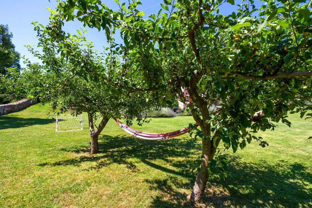 Villa Krizanci Žminj Kültér fotó