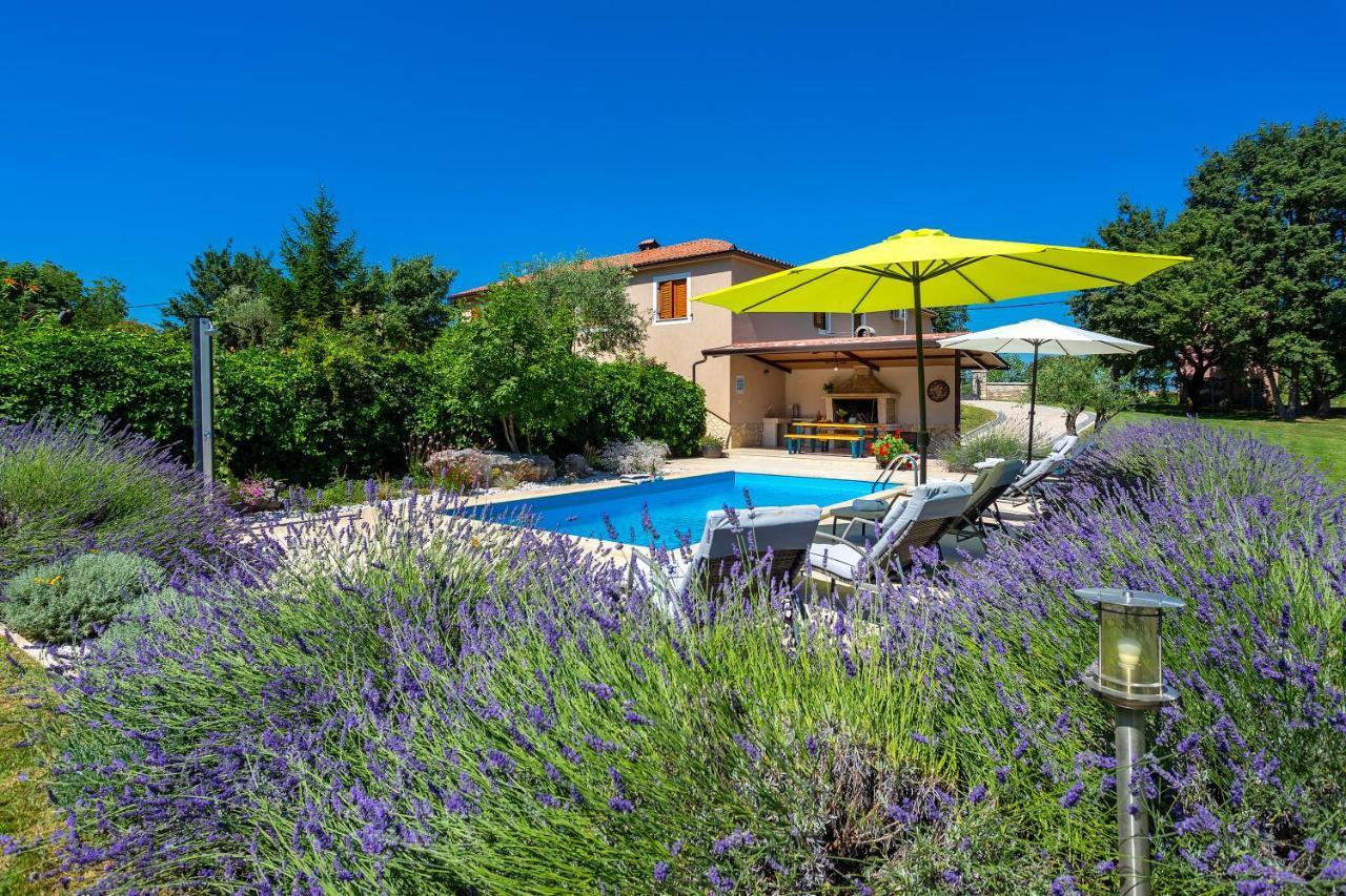 Villa Krizanci Žminj Kültér fotó